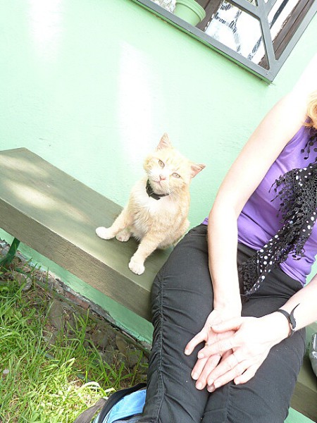 Výlet VII. tř., Náchod a okolí, květen 2012
