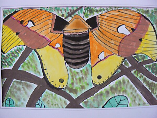 Výstava výtv. prací, červen 2010